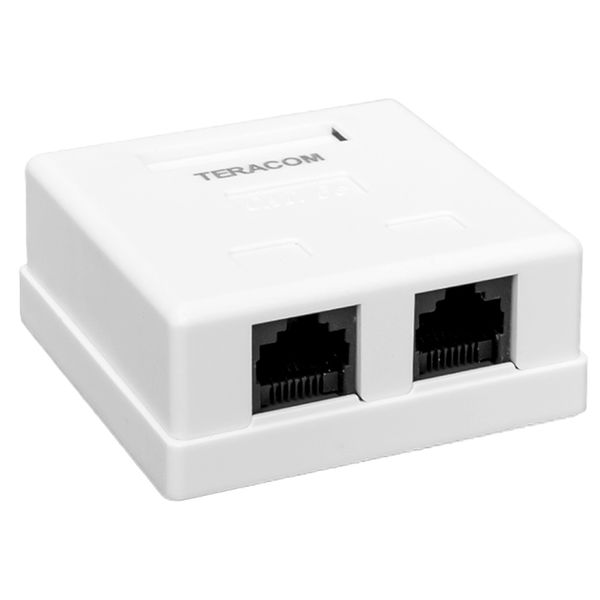 Розетка настенная TERACOM Cat.5E неэкранированная 2 порта RJ-45 Dual IDC белая EKF TRC-WBOX-2RJ45-5EUTP-WH